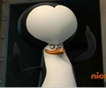 penguins-of-madagascar - Kowalski screencap