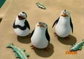 penguins-of-madagascar - Love their expressions here! screencap