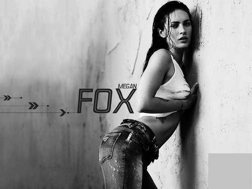  Megan rubah, fox wallpaper ☆