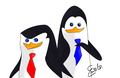 Skipper and Kowalski - penguins-of-madagascar fan art