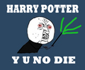 Voldemort LOLs - harry-potter photo