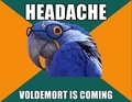 Voldemort LOLs - harry-potter photo