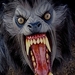 werewolf - horror-movies icon