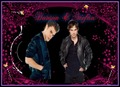 Damon & Stefan - the-vampire-diaries fan art