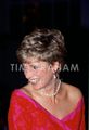 Diana Albert Hall - princess-diana photo