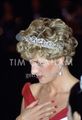 Diana Ballet Budapest - princess-diana photo