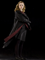Harry Potter Half-Blood Prince  - hermione-granger photo
