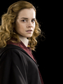 Harry Potter Half-Blood Prince  - hermione-granger photo