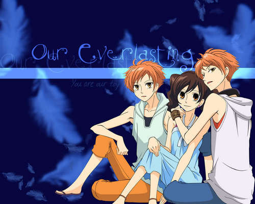  Twins and Haruhi wolpeyper