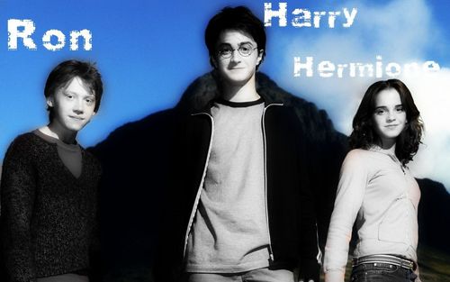  Ron,Harry & Hermione