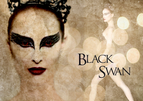  Black schwan Hintergrund