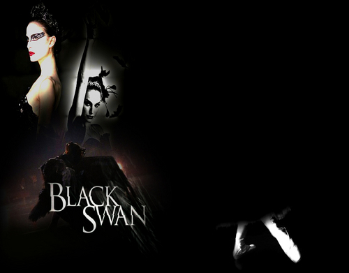  Black schwan Hintergrund