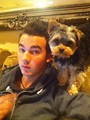 Kevin with his dog - the-jonas-brothers photo