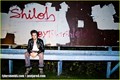 Shiloh Fernandez: New Shots for Tyler Shields! - hottest-actors photo