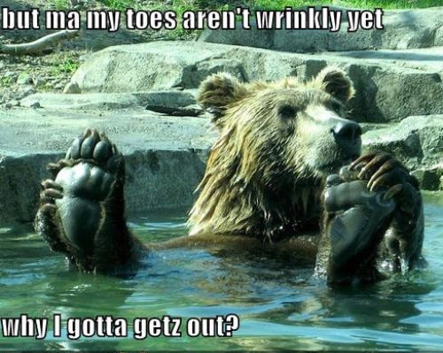  menanggung, bear funny