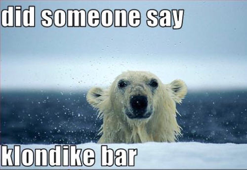  भालू funny