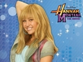hannah-montana - Hannah Montana Forever Exclusive published stuff by dj!!! wallpaper