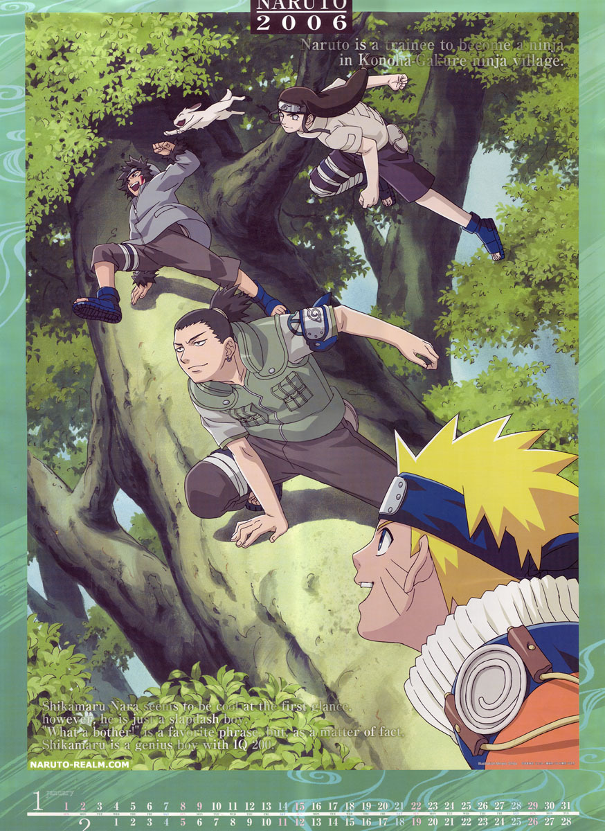Naruto: Kiba - Wallpaper