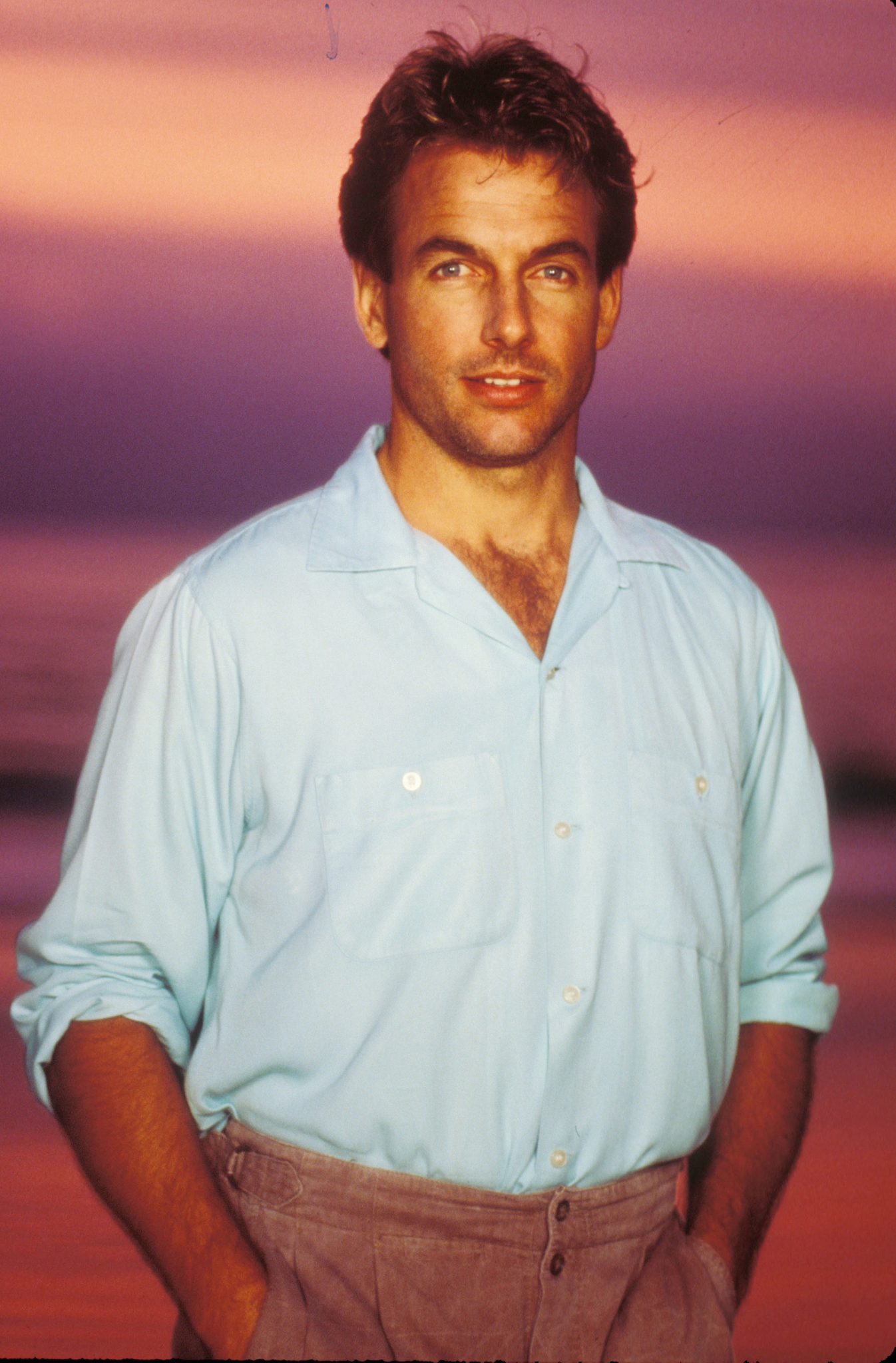 Mark Harmon - Images Gallery