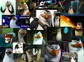 Rico Collage - penguins-of-madagascar fan art