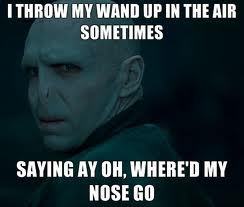  Voldemort XD