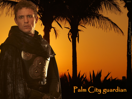 Palm City guardian