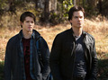 2x117 Know the enemy - the-vampire-diaries-tv-show photo