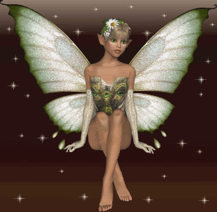  vlinder Fairy