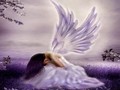 angels - Crying Angel wallpaper