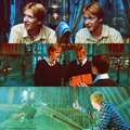 Fred and George - harry-potter photo