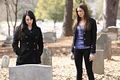 HQ Stills from 2x17 Know Thy Enemy - the-vampire-diaries-tv-show photo