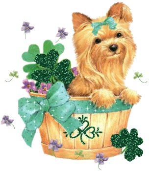  Happy St Patricks dag Frances ♥