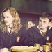 Hermione/Harry - hermione-granger icon