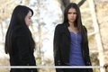 Know Thy Enemy - the-vampire-diaries-tv-show photo