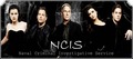 NCIS Banner - ncis fan art
