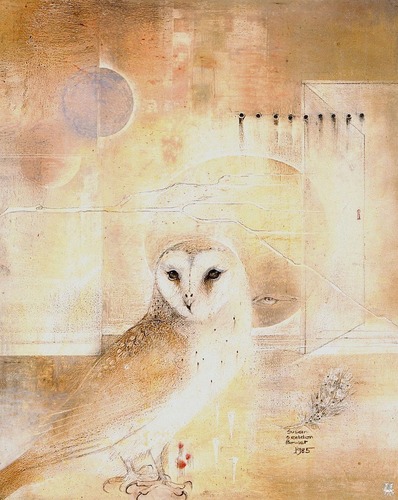  Owls por Susan Seddon Boulet