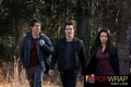 The Vampire Diaries - Episode 2.17 - Know Thy Enemy - Promotional Photos - the-vampire-diaries-tv-show photo