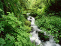 Waterfalls are enchanting - god-the-creator photo