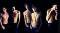 the wanted shirt-less - the-wanted photo