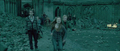 Bonnie in Harry Potter and the Deathly Hallows Part 2! - bonnie-wright photo