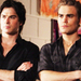 Damon and Stefan - the-vampire-diaries icon