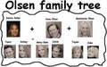 Family Tree - mary-kate-and-ashley-olsen photo