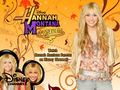 Hannah Montana Forever wallpaper - hannah-montana photo