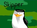 Skipper :D - penguins-of-madagascar fan art