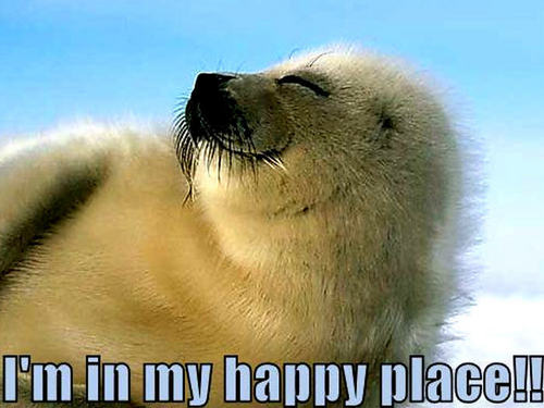seal funny