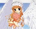 white angel - anime photo