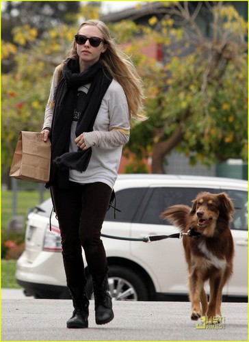 Amanda Seyfried & Ryan Phillippe: Dogwalking Duo