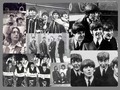 the-beatles - Beatles Wallpaper wallpaper