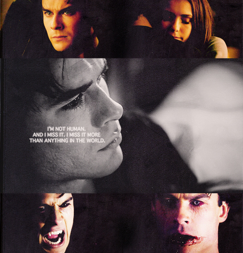  Damon & Elena ♥♥♥