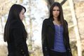 Episode 2.17 - Know Thy Enemy - Promotional Photos - stefan-and-elena photo